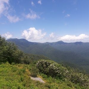 Meet your Posher, Juliette